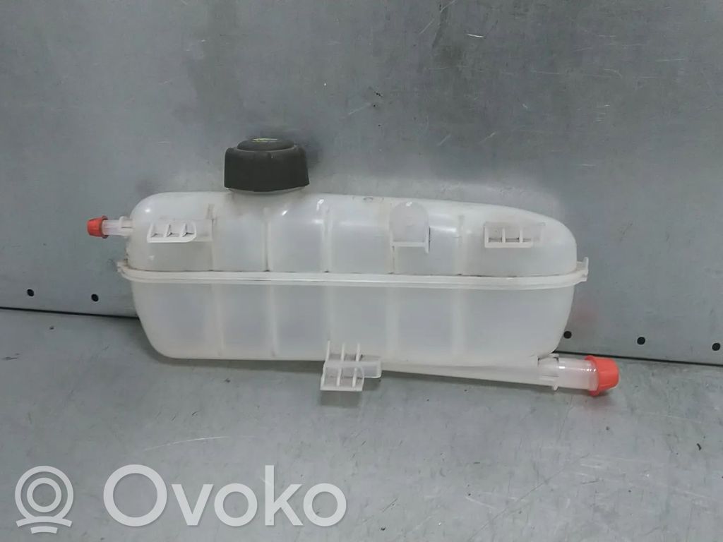 Renault Zoe Ausgleichsbehälter Kühlwasser