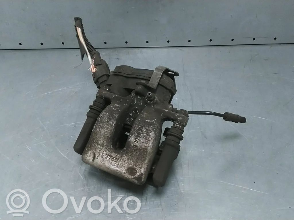 Takajarrusatula   440016606R