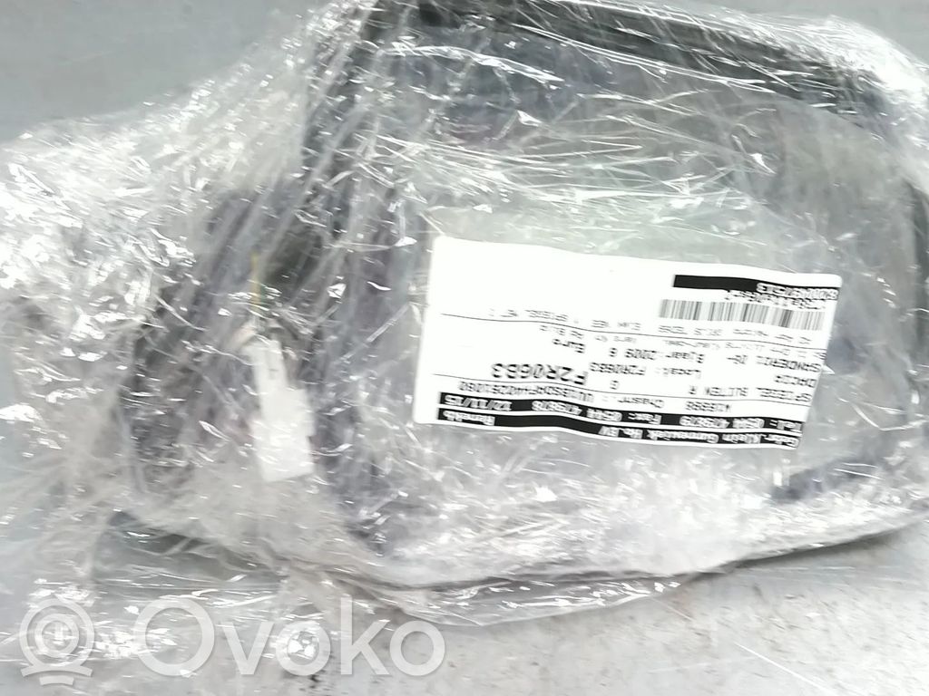 Dacia Sandero Etuoven sähköinen sivupeili 