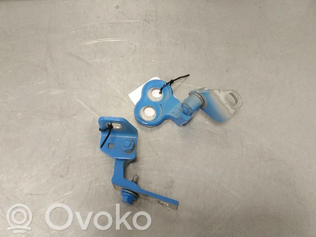 Ford Focus Priekšpusē eņģu komplekts 