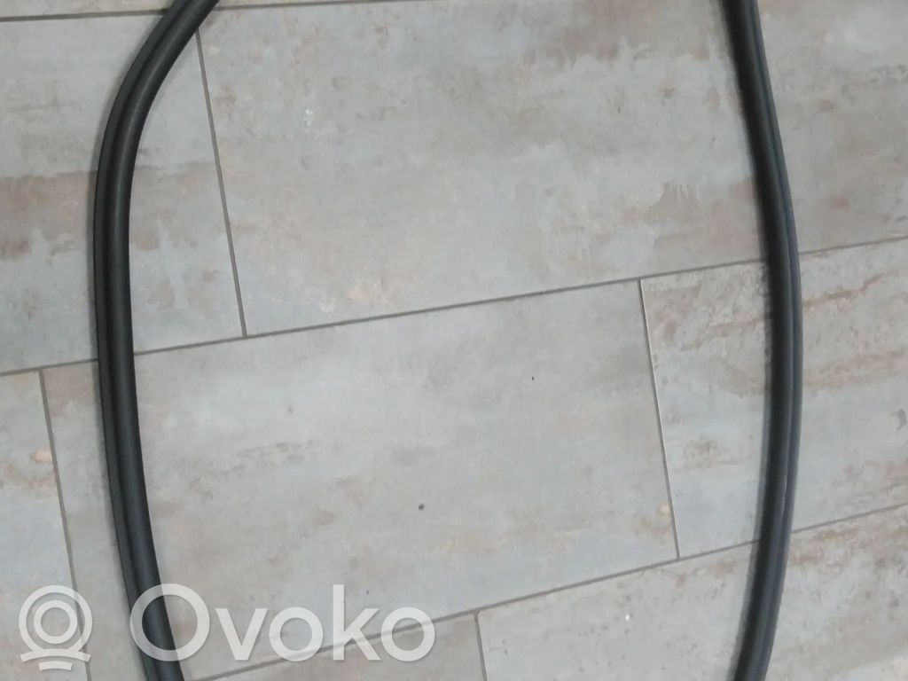Ford Focus Gummidichtung Tür hinten