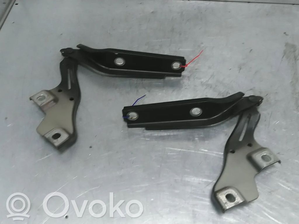 Volkswagen PASSAT B8 Cerniere del vano motore/cofano 