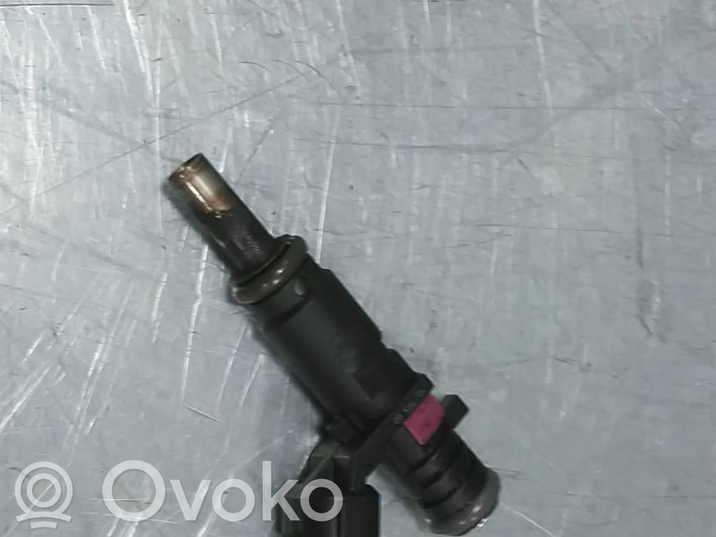 Inyector de combustible   166009685R,H4D400