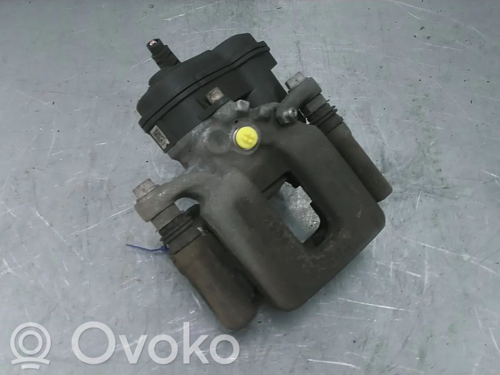 Takajarrusatula   8U0615403B
