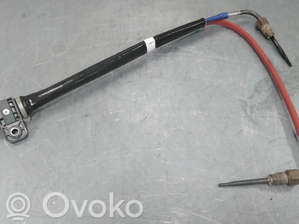 Renault Arkana Sensor 