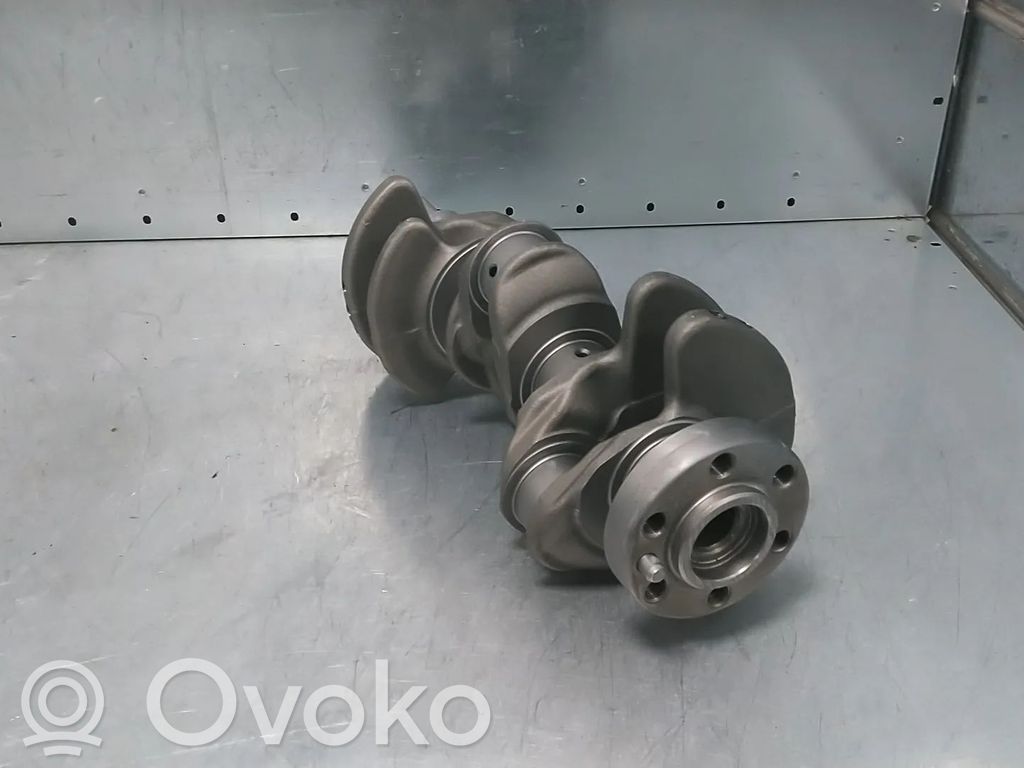 Renault Clio V Wał korbowy 