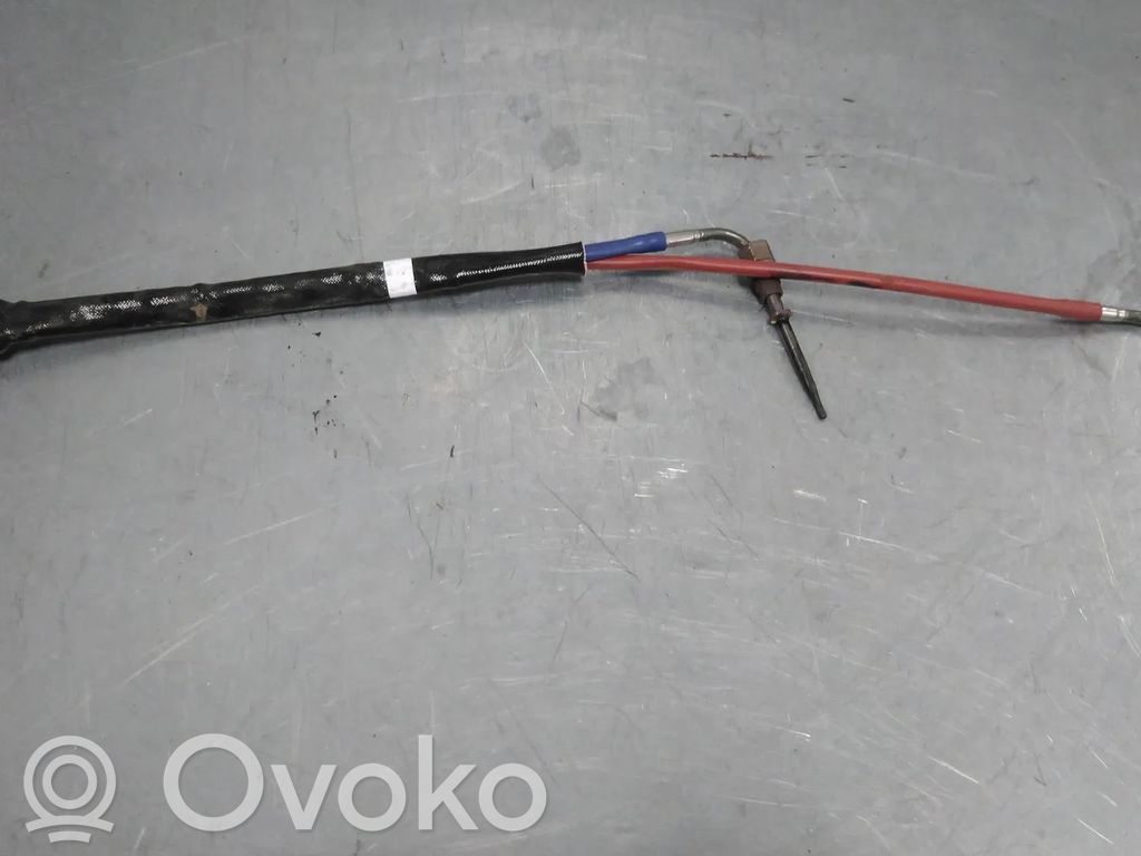 Renault Arkana Sensor 