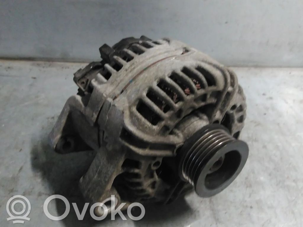 Generator/alternator   55556069,0124425024