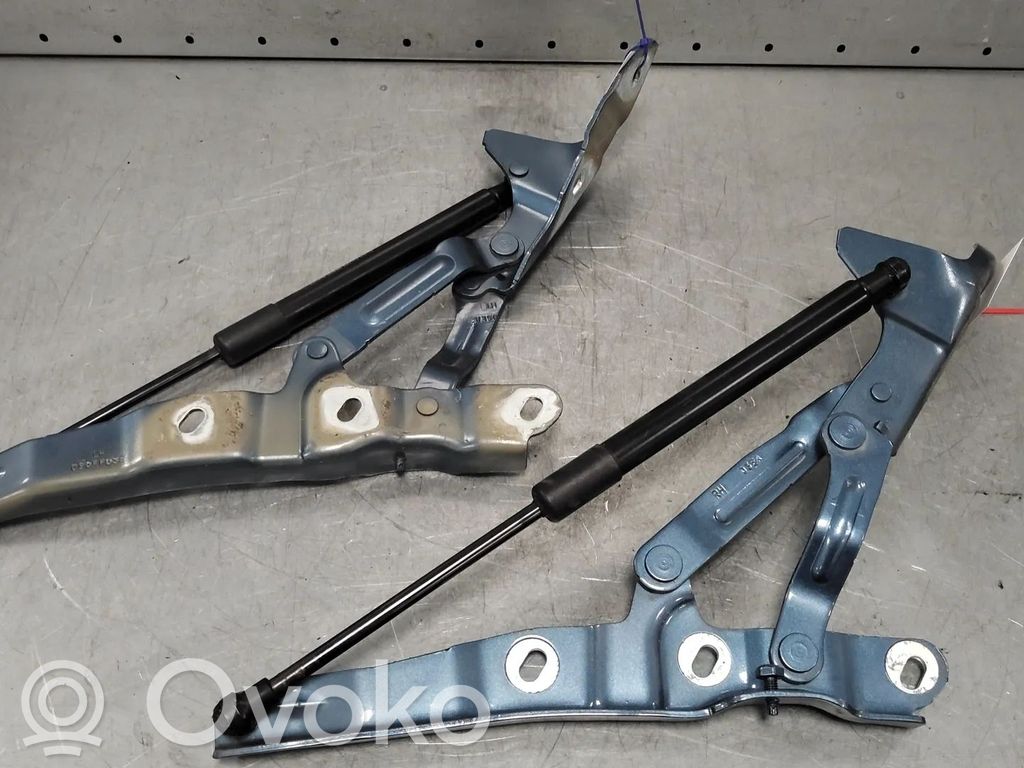 Tailgate/trunk/boot hinge   13437376,13437375,13453266,13453267,1765450,1765470