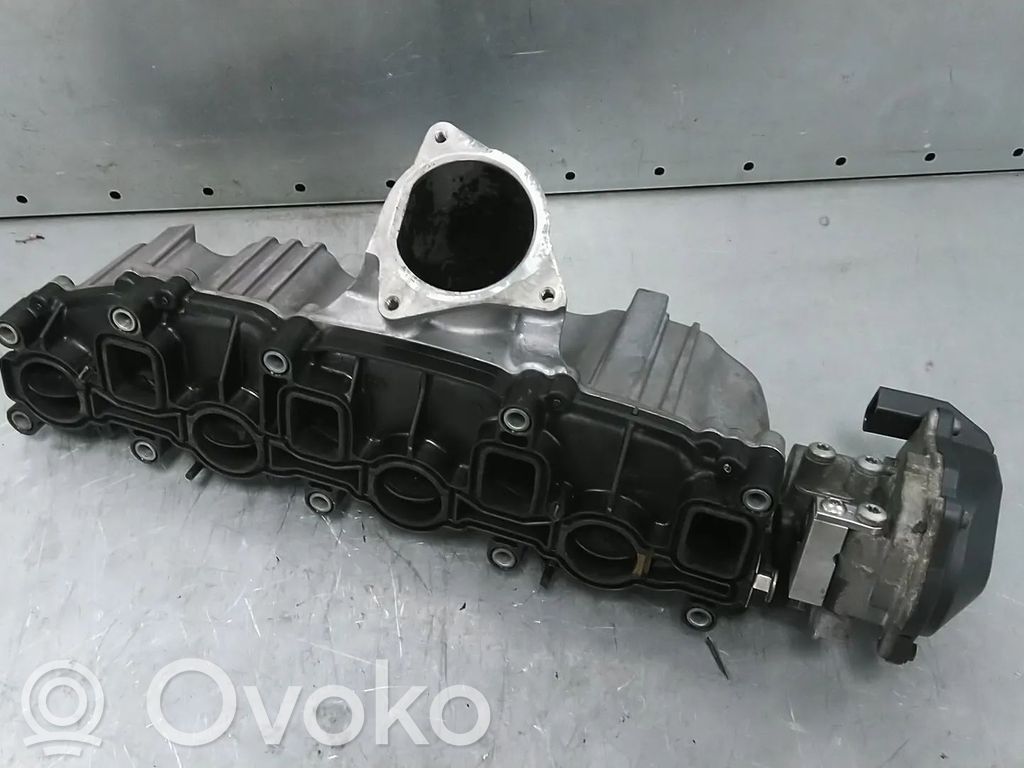Volkswagen Tiguan Kolektor ssący 