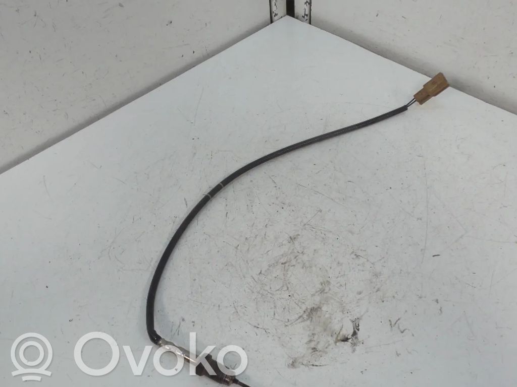Renault Master III Sensor 