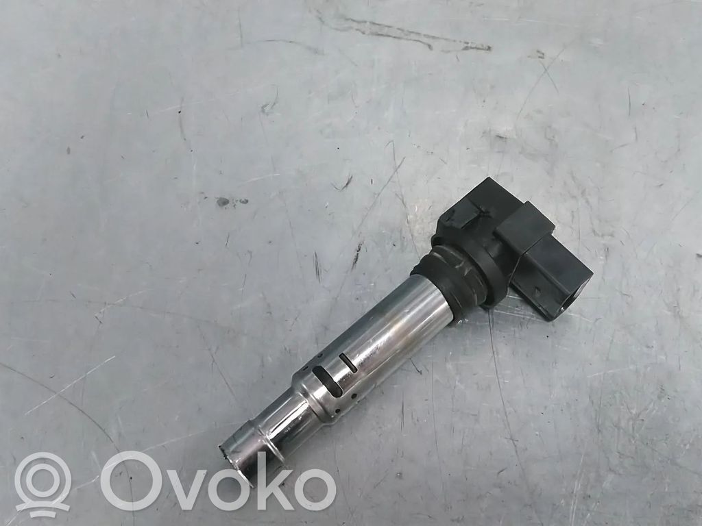 Volkswagen Golf V Aukštos įtampos ritė "babyna" 