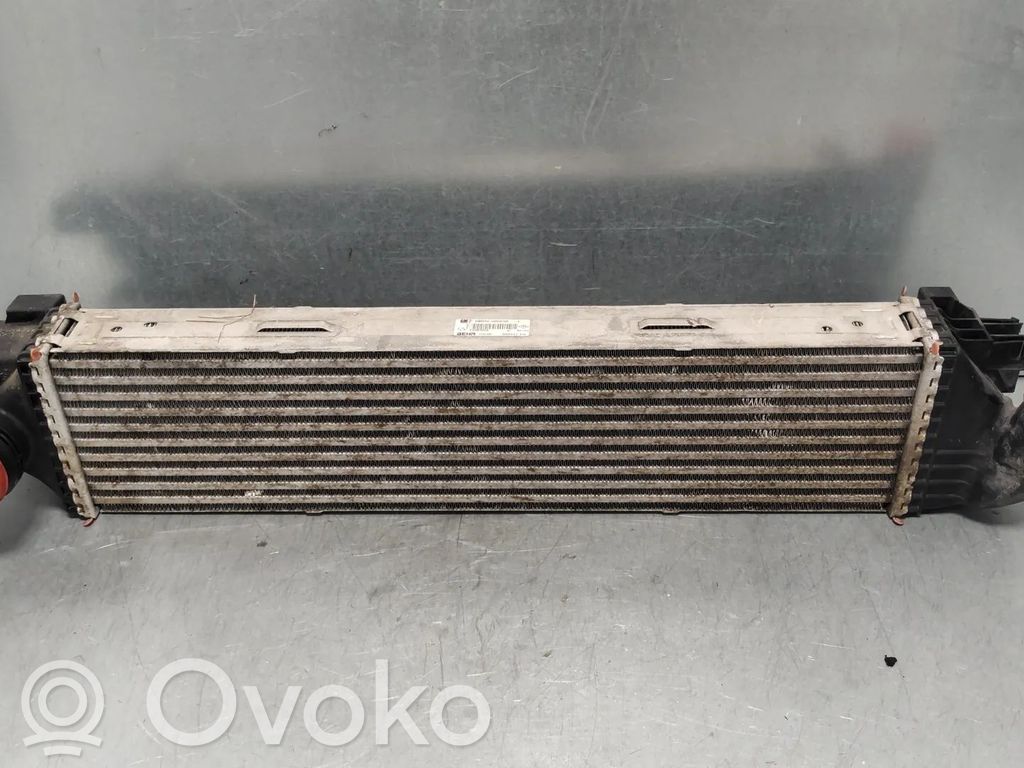 Renault Trafic III (X82) Radiator intercooler 