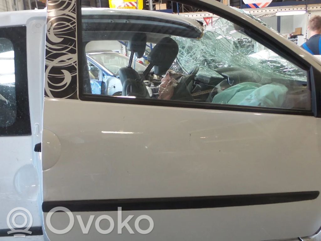 Renault Twingo II Дверь 
