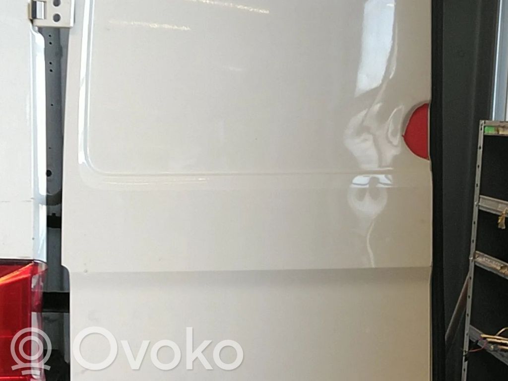 Volkswagen Crafter Ușă spate van 