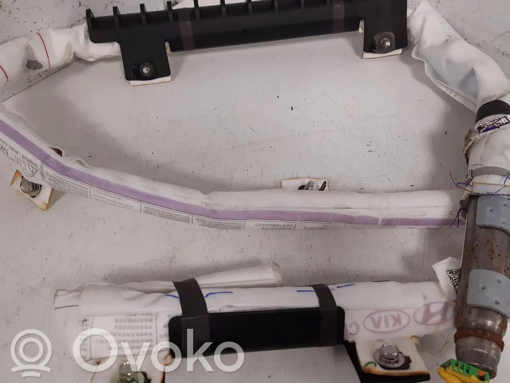Airbag del techo   80420J7500