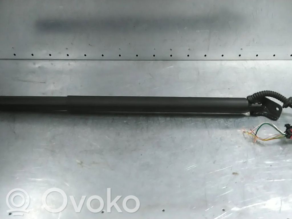 KIA Ceed Tailgate/trunk strut/damper 