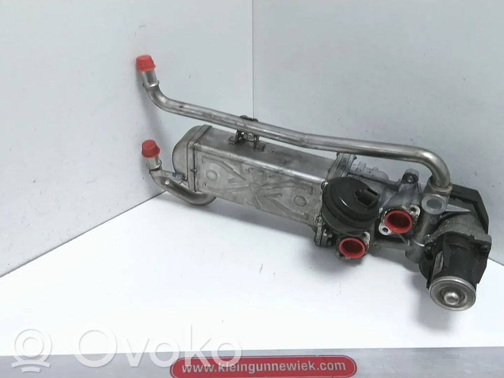 Volkswagen Polo V 6R Válvula EGR 