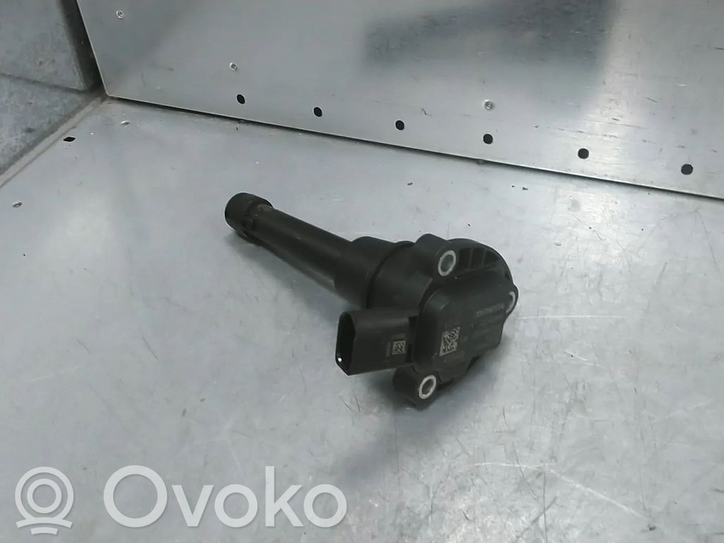 Oil level sensor   06L907660,DDW