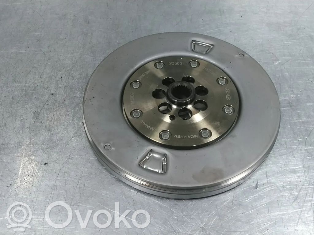 Schwungrad   3D5003159