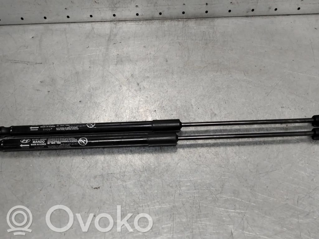 Hyundai Ioniq 5 Ammortizzatore portellone anteriore/cofano