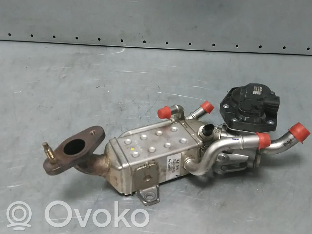 KIA Sportage Valvola di raffreddamento EGR 