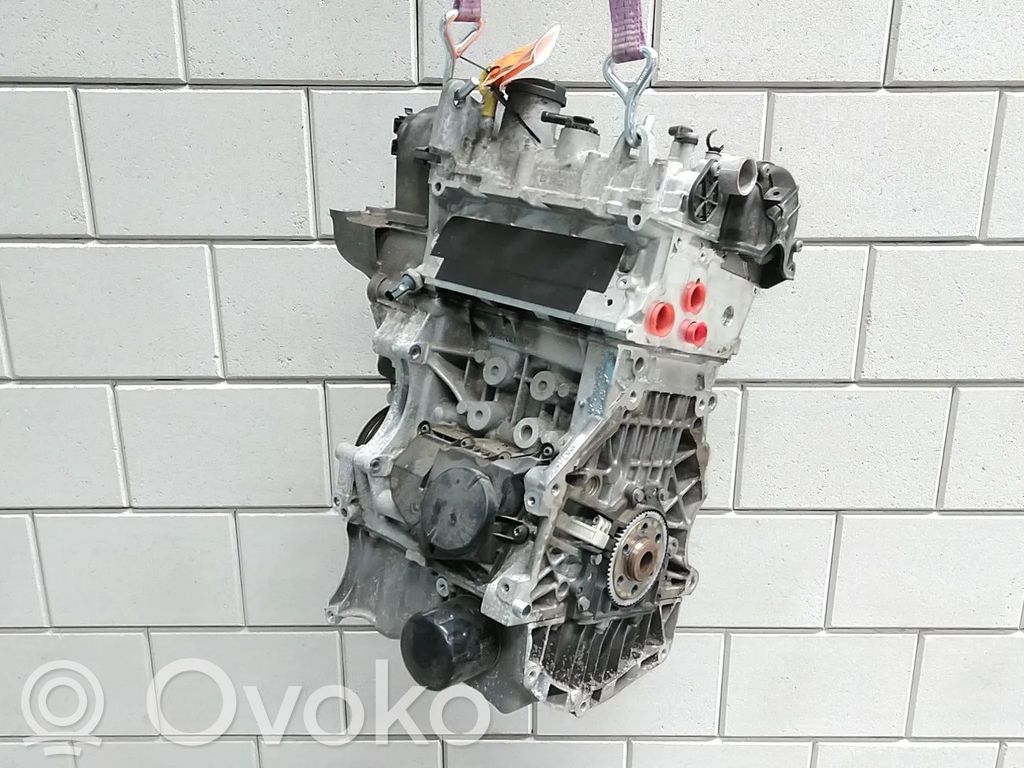 Volkswagen Polo V 6R Dzinējs 