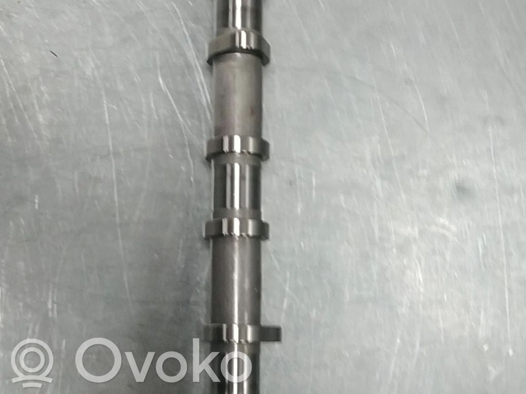 Wałek rozrządu   06K021L,06K021,06K021M,06K109021,06K109021L,06K109021M,CHHB,CNTA,CNTC,CPKA,CPLA,CPPA,CPRA,CXB,CXCA,CXCB,CXDA,DAXB,DAXC,DAYB,DJYA,DNJA