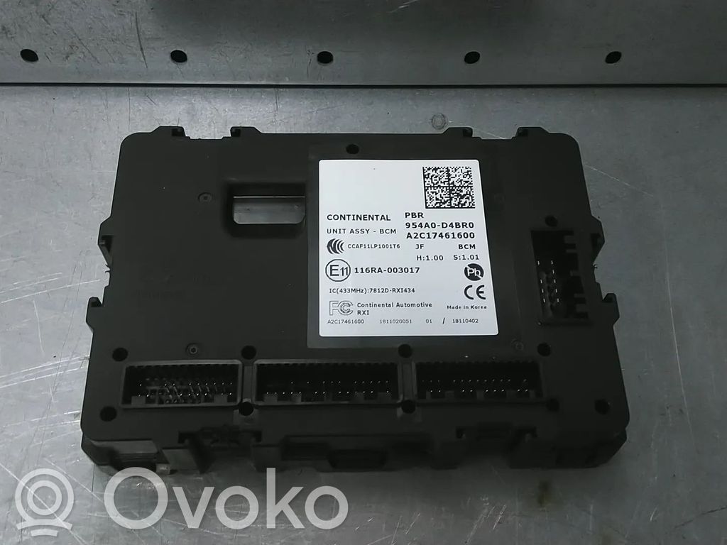 Door control unit/module   954A0D4BR0,A2C17461600