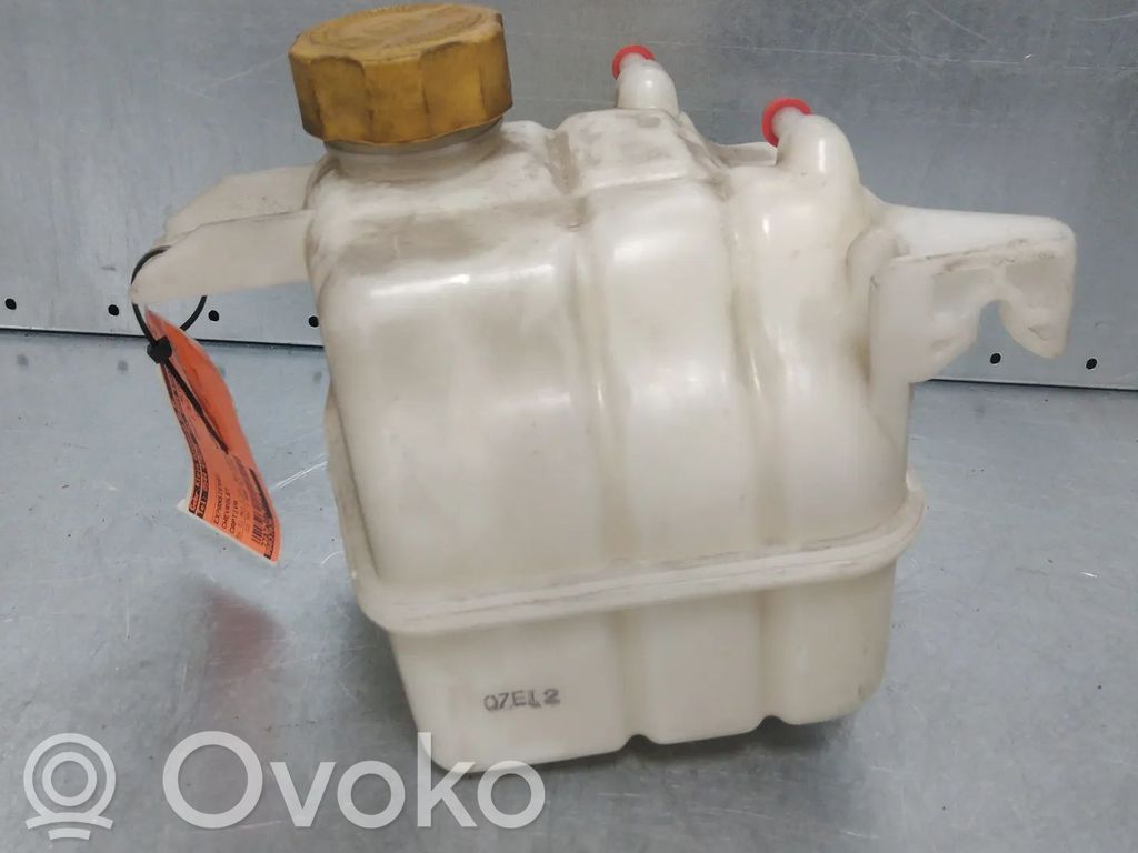 Chevrolet Captiva Serbatoio di compensazione del liquido refrigerante/vaschetta 