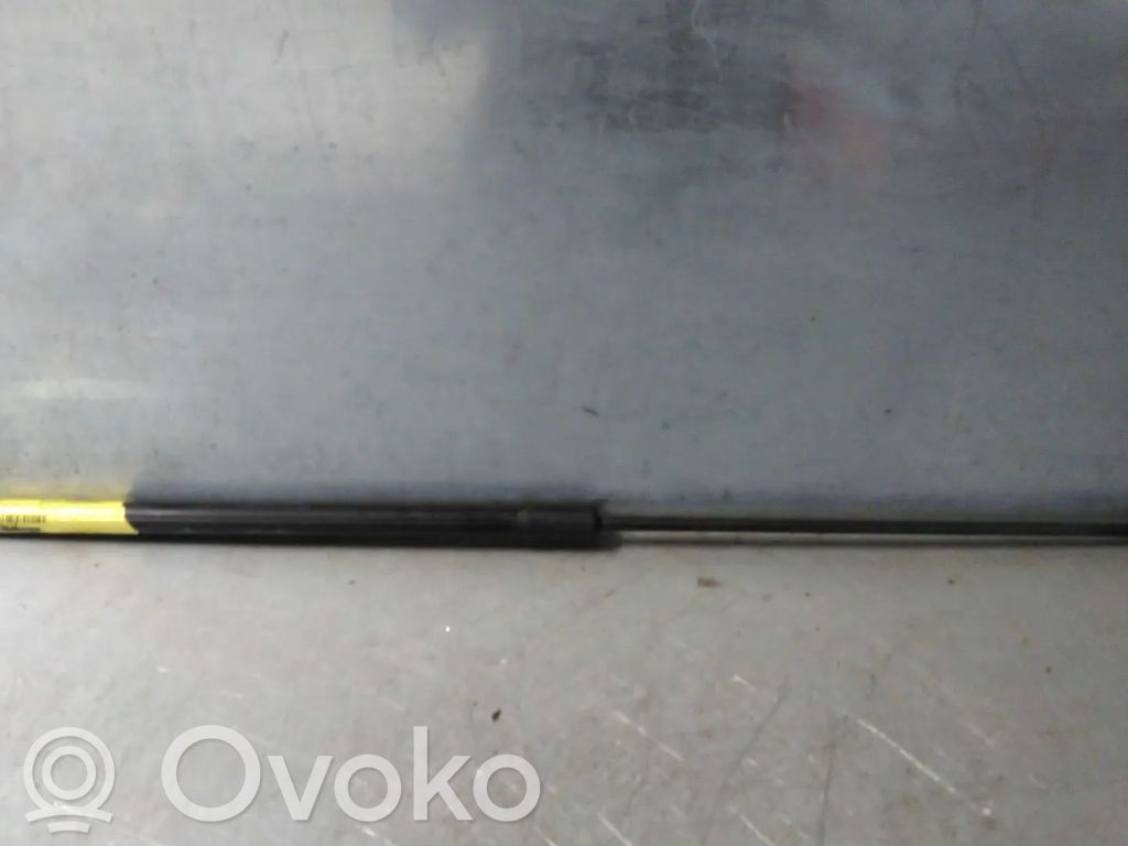 Volkswagen PASSAT B6 Ammortizzatore portellone anteriore/cofano 