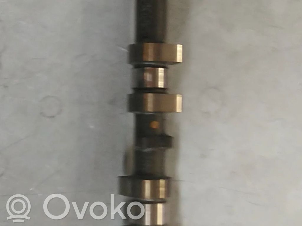Wałek rozrządu   WG2327470,1729166,50007926,B6164T,B6164T1,B6164T2,B6164T3,B6164T4,BM5G6A268AA,CM052402,JQDA,JQDB,JQGA,JQMA,JQMB,JTBA,JTBB,JTDA,JTDB,JTMA,JTWA,JTWB,WG2224651,YUDA