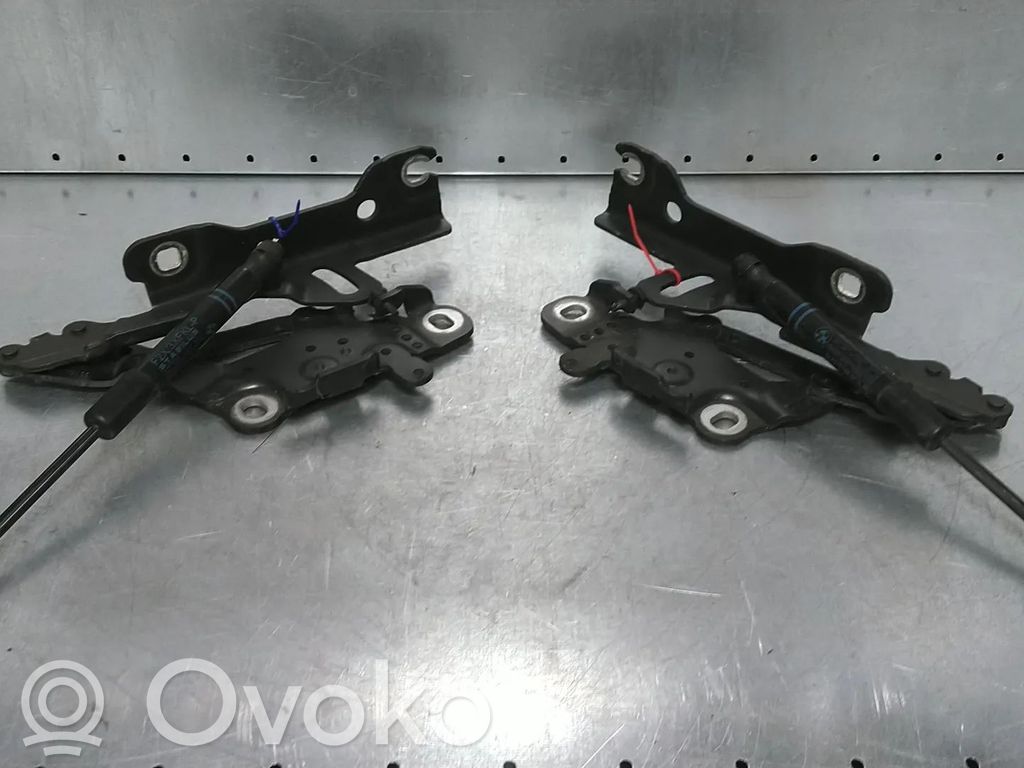 BMW 3 F30 F35 F31 Cerniere del vano motore/cofano