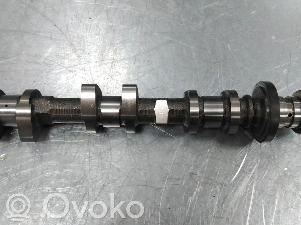 Ford Focus Albero a camme 