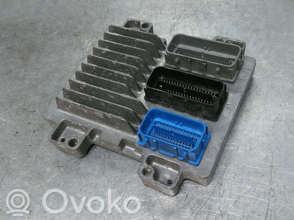 Engine control unit/module   12668991,1238853,1247151,1247282,1249118,12616532,12639235,12642100,12643636,12647241,12648670,12649603,12649905,12654137,12659377,12668866,12669134,12669749,12670269,12692200,55587318,AA7Y,B14XER