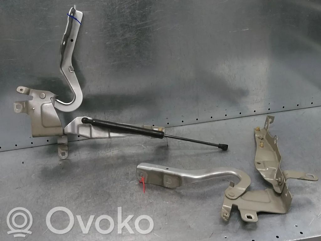Renault Clio IV Engine bonnet/hood hinges 