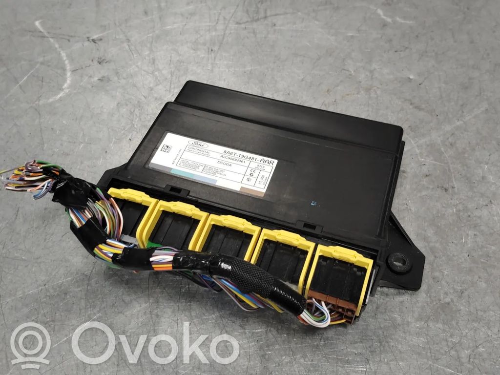 Ford Fiesta Türsteuergerät 