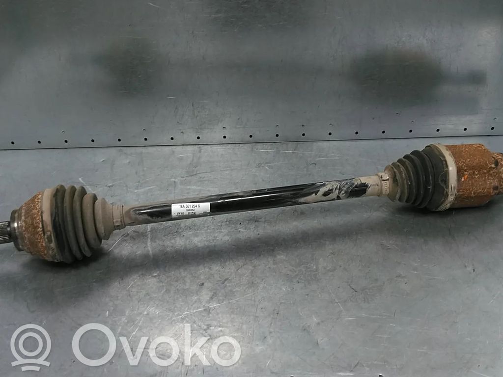 Galinis pusašis   1EA501204S,EEWA,VXD