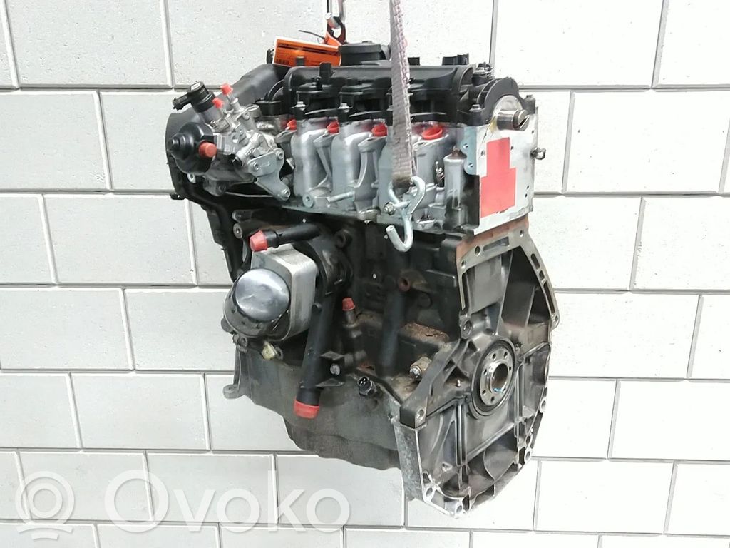 Motor   0445010704,607951,8201708642,8201730187,K9K,K9K451,K9K452,K9K461,K9K607,K9K608,K9K626,K9K628,K9K646,K9K648,OM607951