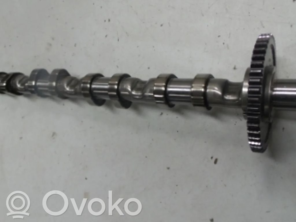 Seat Exeo (3R) Árbol de levas 