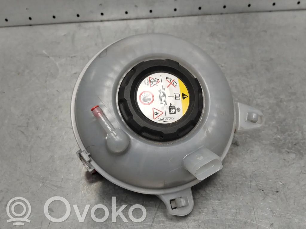 Audi Q5 SQ5 FY Vas expansiune/rezervor lichid de răcire 