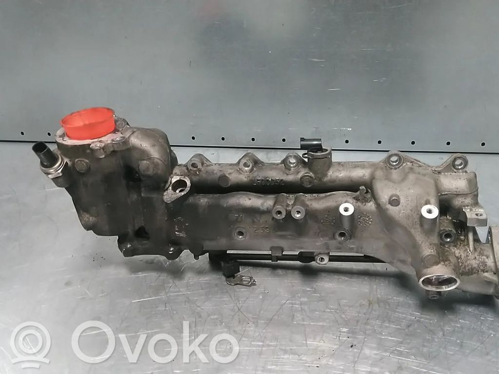 Kolektor ssący   A6420906537,642826