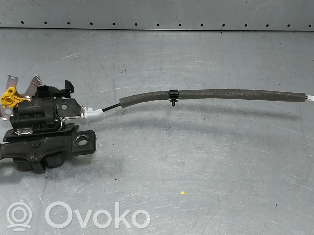 Tailgate/trunk/boot lock/catch/latch   4M0827506D,4M0827506,4M0827506B,4M0827506F,81A827506