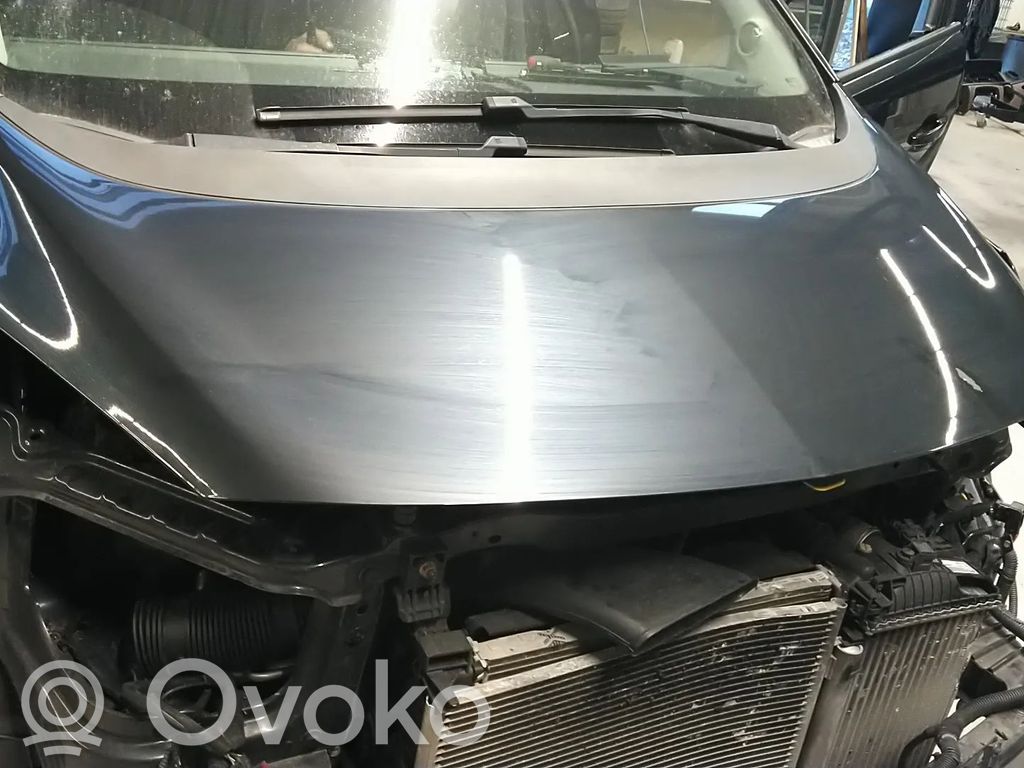 Motorhaube   1160017,1160071,13269744,93167925,95514648