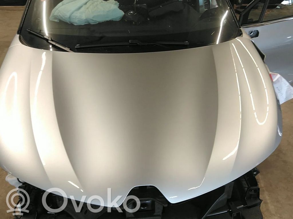 Motorhaube   651007449R