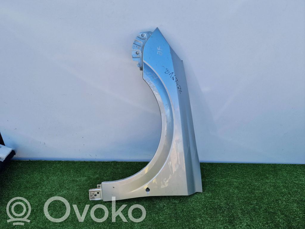 Guardabarro   6101346