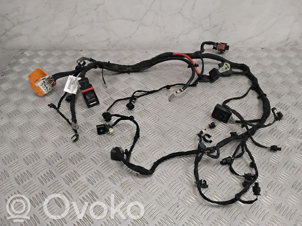 Polestar 2 Cablaj motor 