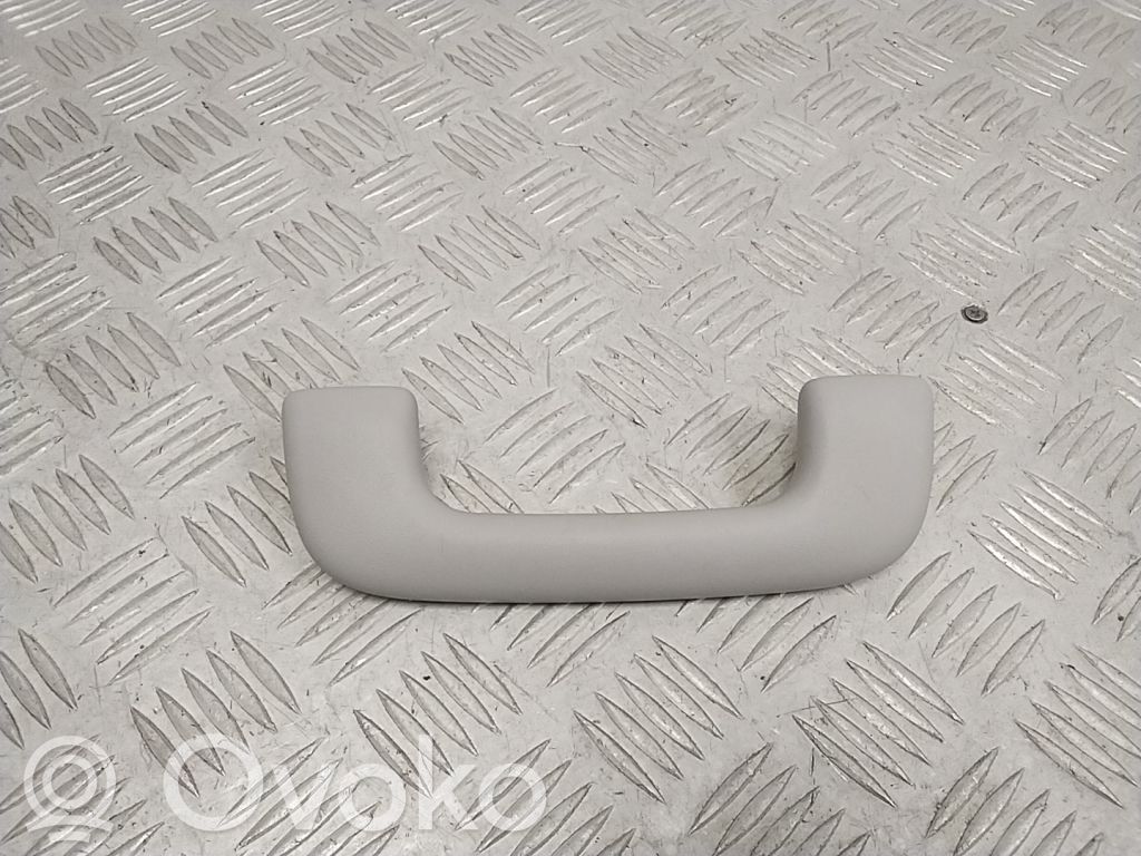 Hyundai Ioniq Asidero interior delantero 