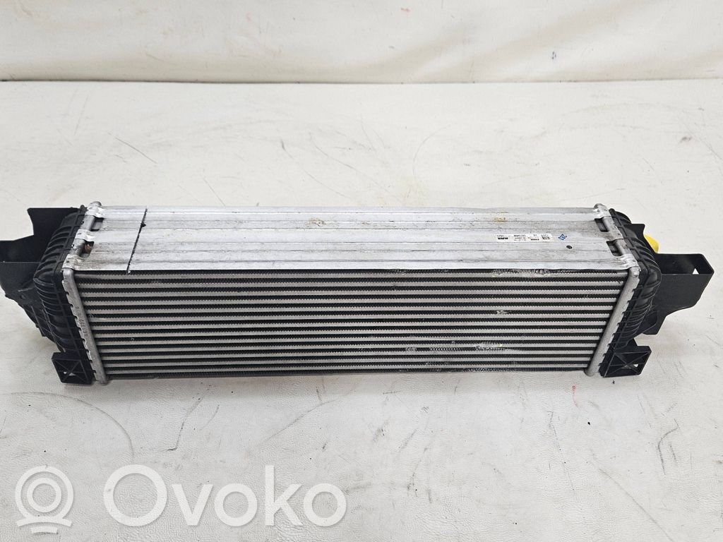 BMW X2 F39 Interkūlerio radiatorius 