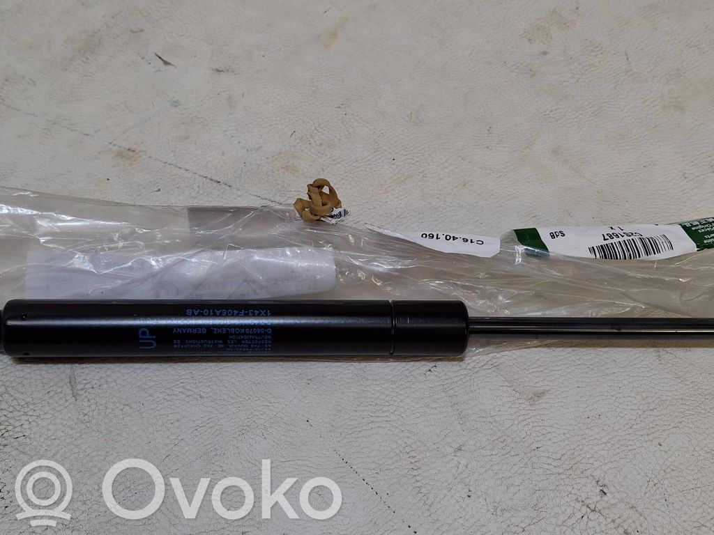 Tailgate/trunk strut/damper   C2S1687